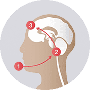味覚異常・口腔乾燥