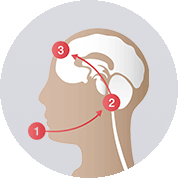 味覚異常・口腔乾燥